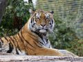 ZOO-Viden 24 srpen 2014 041.JPG